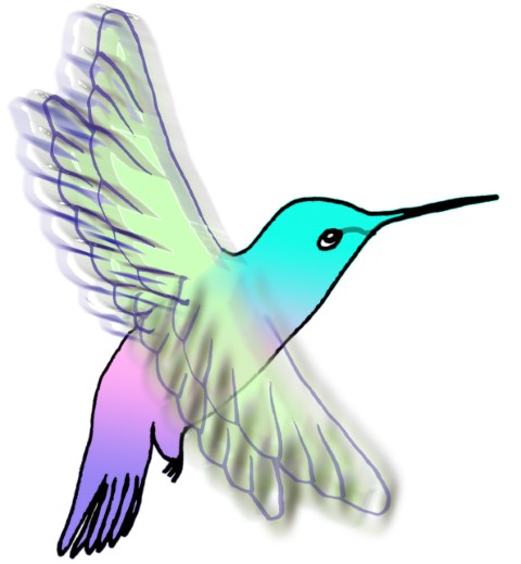 Un colibri battant des ailes